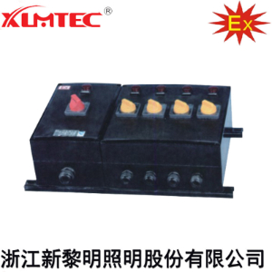 BXM(D)8030系列防爆防腐照明(动力)配电箱(IIC、Ex tD)