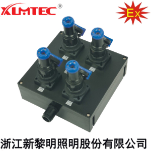 BXS8030系列防爆防腐电源插座箱(IIC、Ex tD)