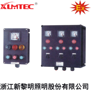 ZXF8044系列防爆防腐控制箱(IIC、Ex Td)